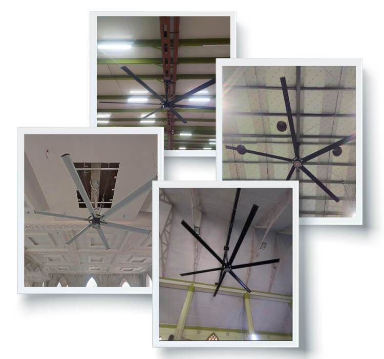 Multi-site Installation, Mumbai
